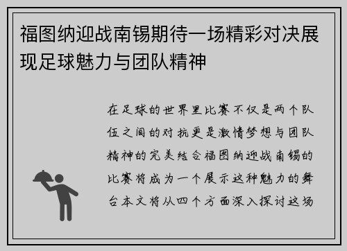 福图纳迎战南锡期待一场精彩对决展现足球魅力与团队精神